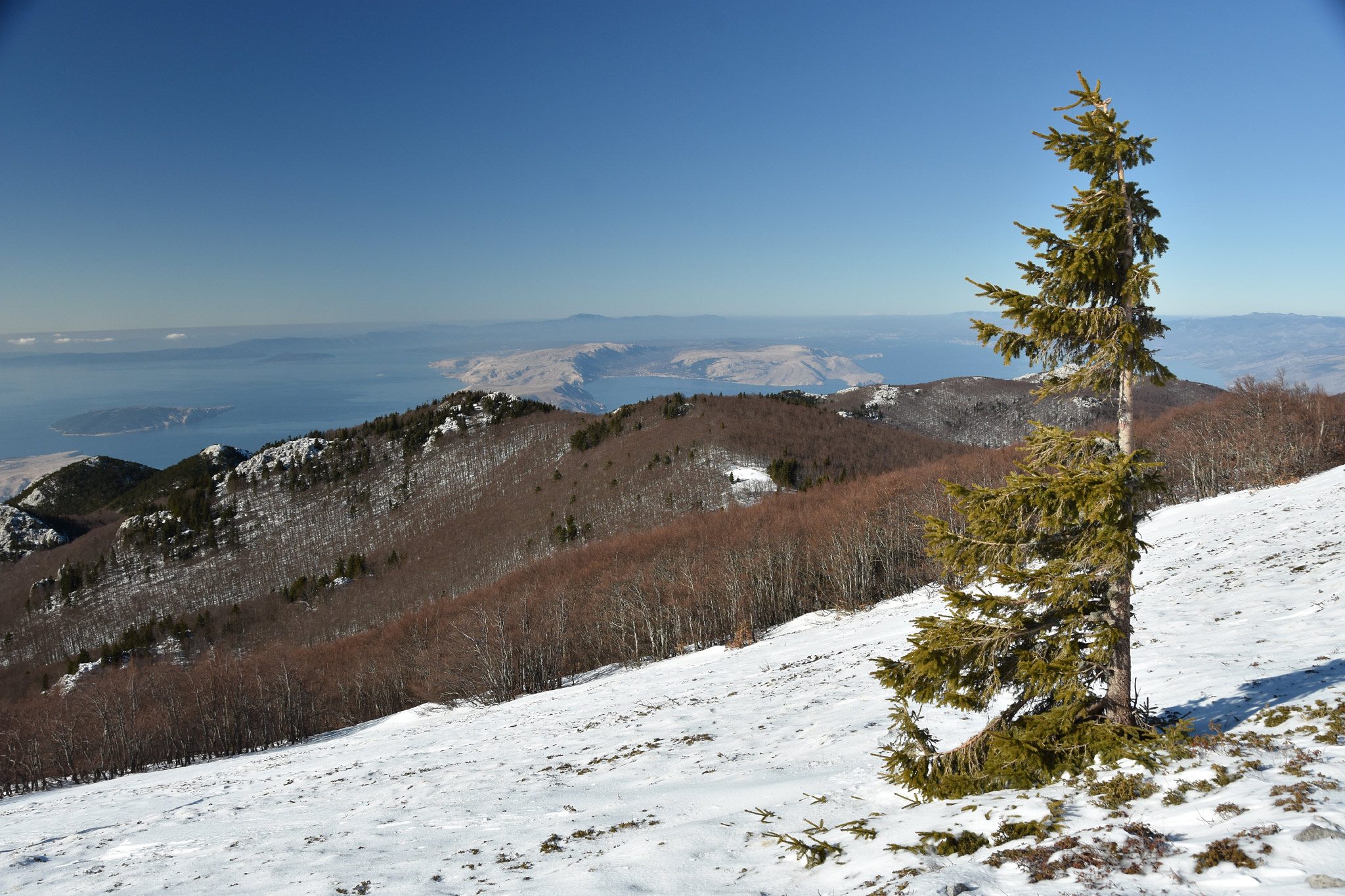 Zavižan
